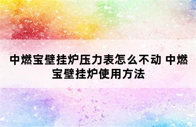 中燃宝壁挂炉压力表怎么不动 中燃宝壁挂炉使用方法